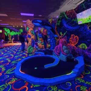 Mini golf hole featuring an octopus obstacle.