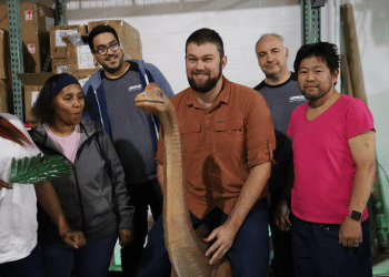 Group of five people smiling in a warehouse, with one person sitting on a model of a dinosaur while others stand around them.